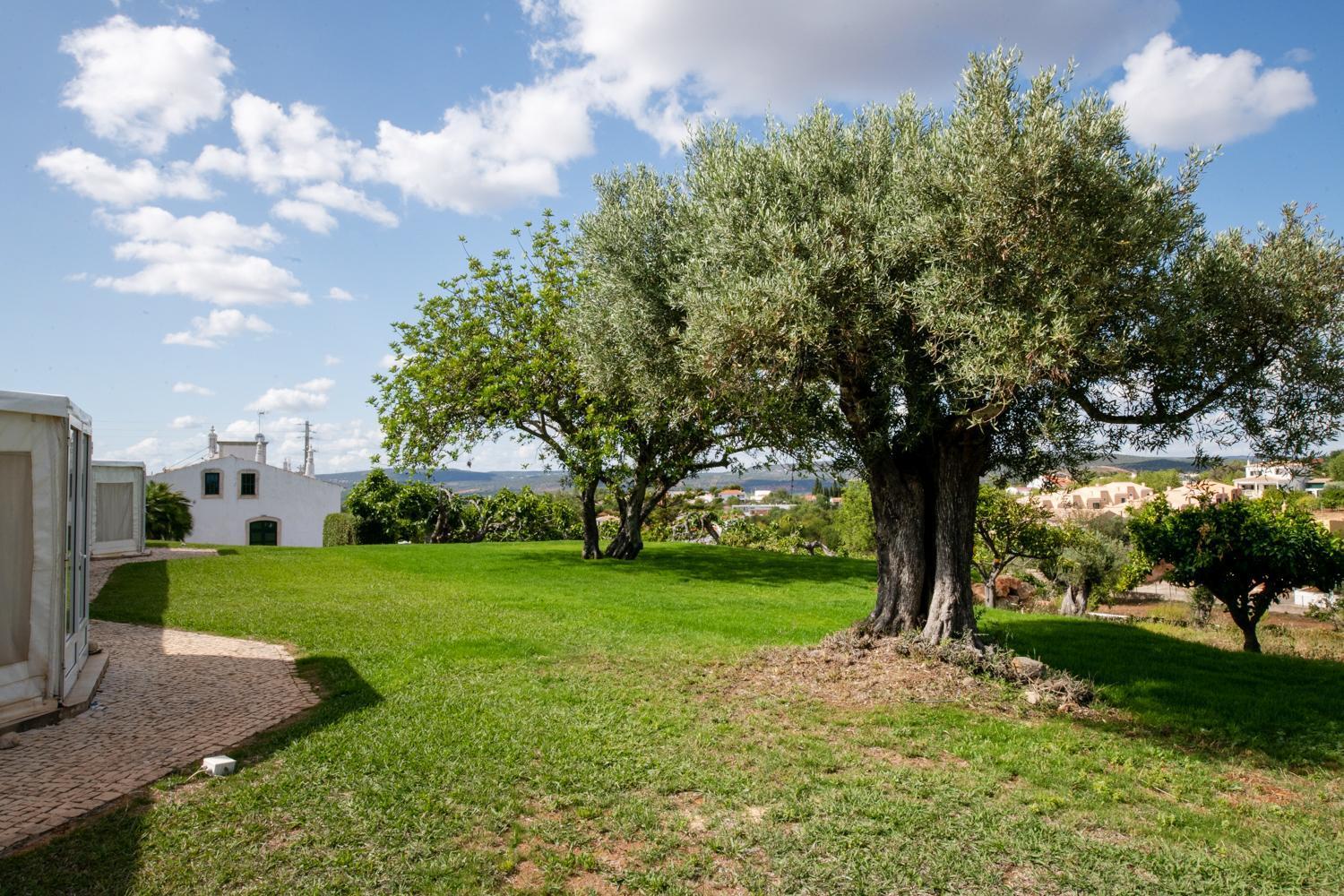 Cerca Velha - Country House Albufeira Eksteriør bilde